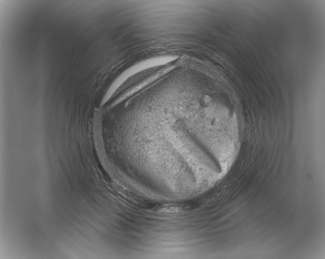 X0000064740604200603031709