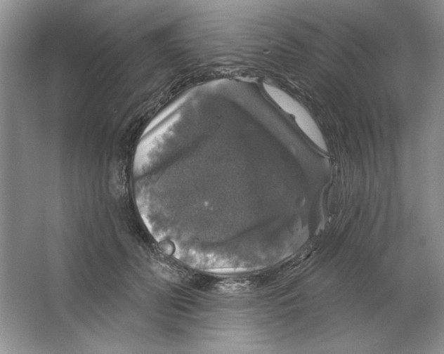 X0000064740606200603031709