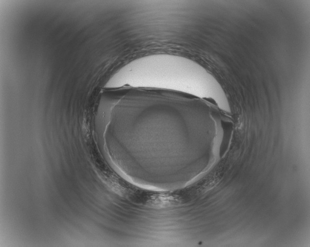 X0000064740607200603031709