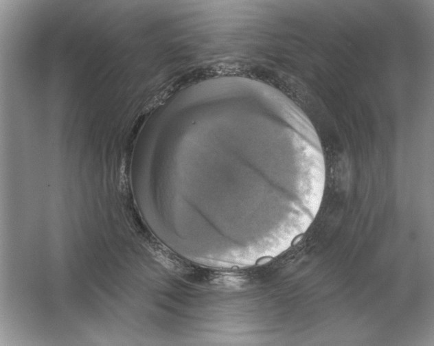 X0000064740610200603031709