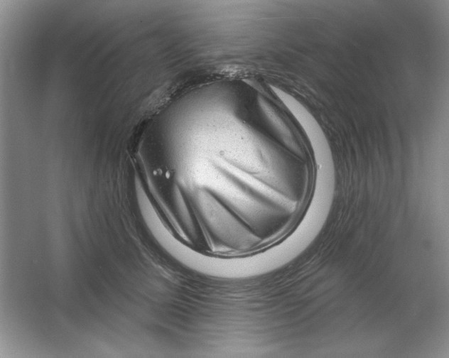 X0000064740611200603031709