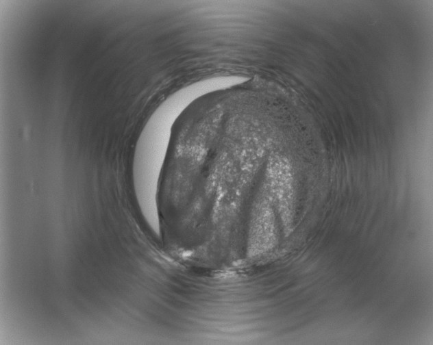 X0000064740616200603031709