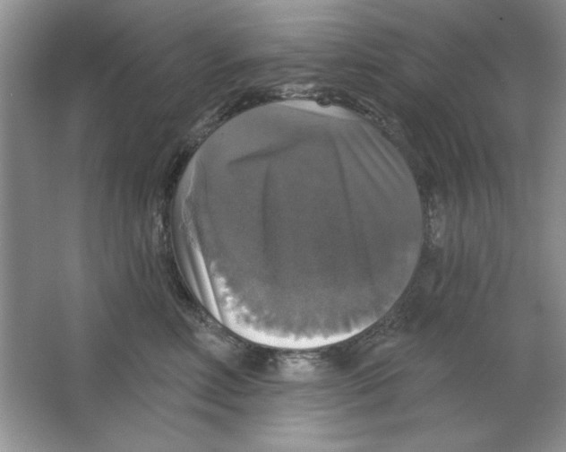 X0000064740618200603031709