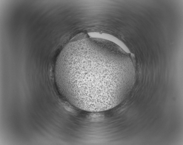 X0000064740619200603031709