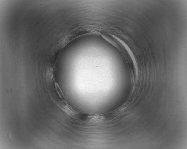 X0000064740621200603031709