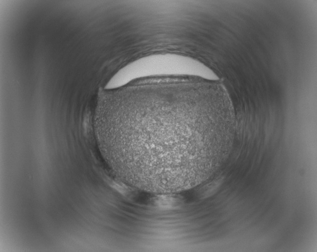 X0000064740623200603031709