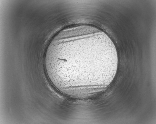 X0000064740625200603031708