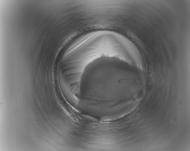 X0000064740626200603031708