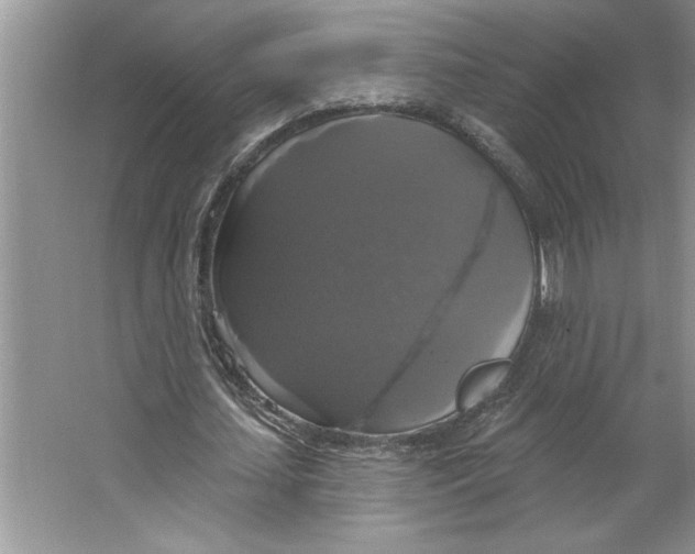 X0000064740627200603031708