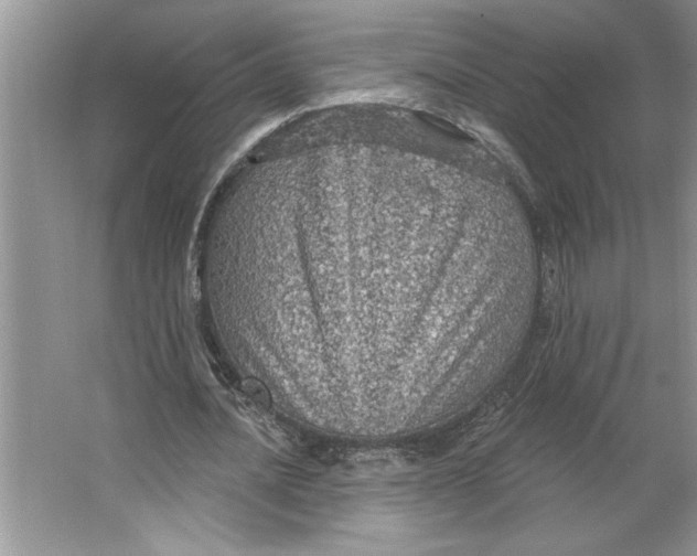 X0000064740628200603031708