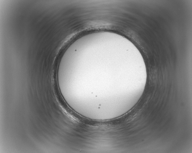 X0000064740629200603031708