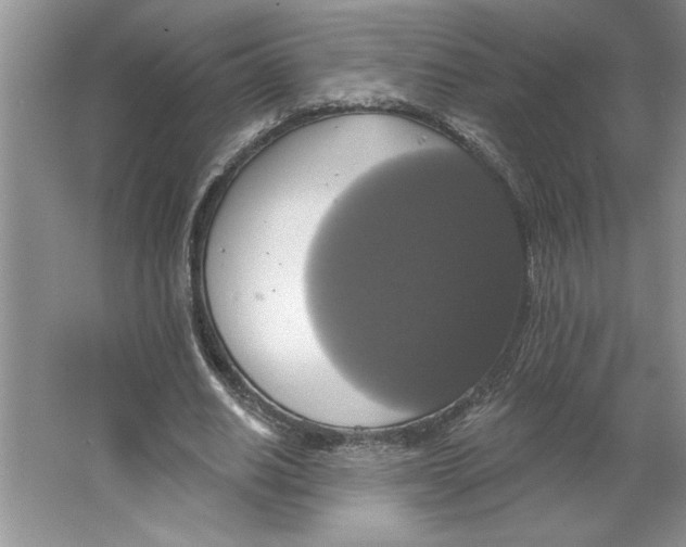 X0000064740630200603031708