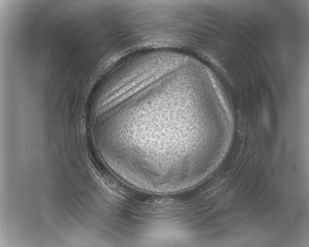 X0000064740631200603031708