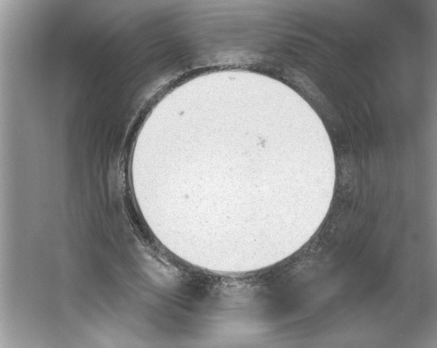 X0000064740632200603031708