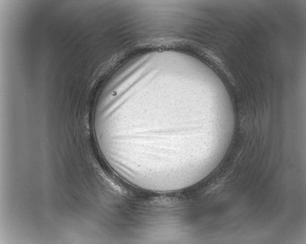 X0000064740633200603031708