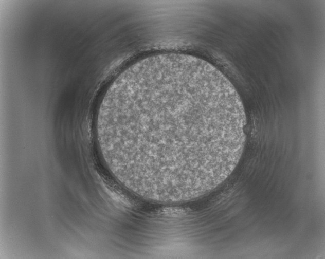 X0000064740636200603031708