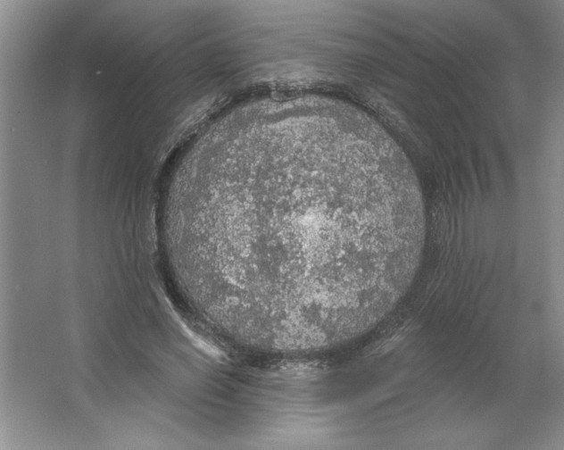 X0000064740638200603031708