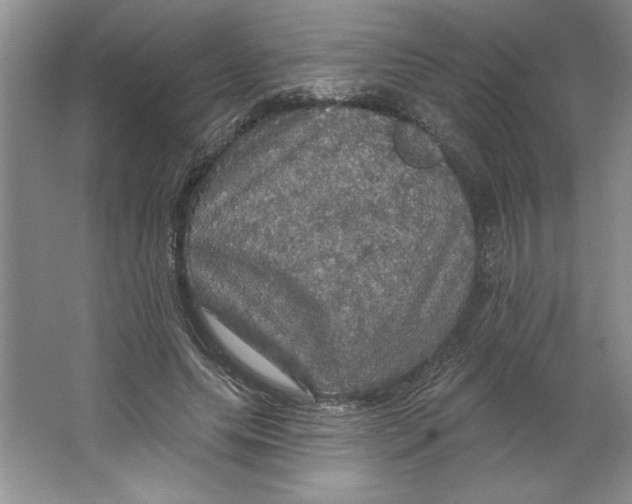 X0000064740639200603031708