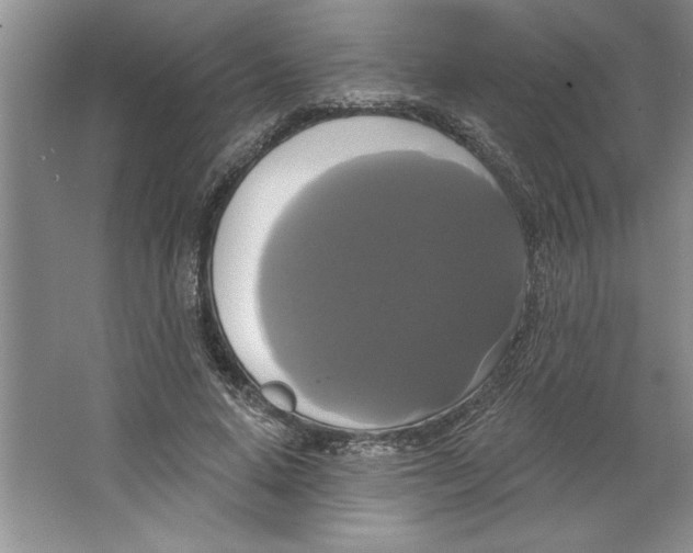 X0000064740640200603031708