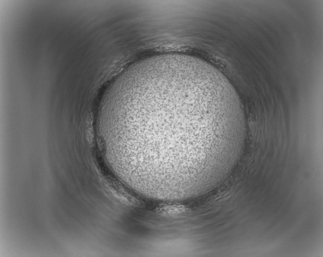 X0000064740642200603031708