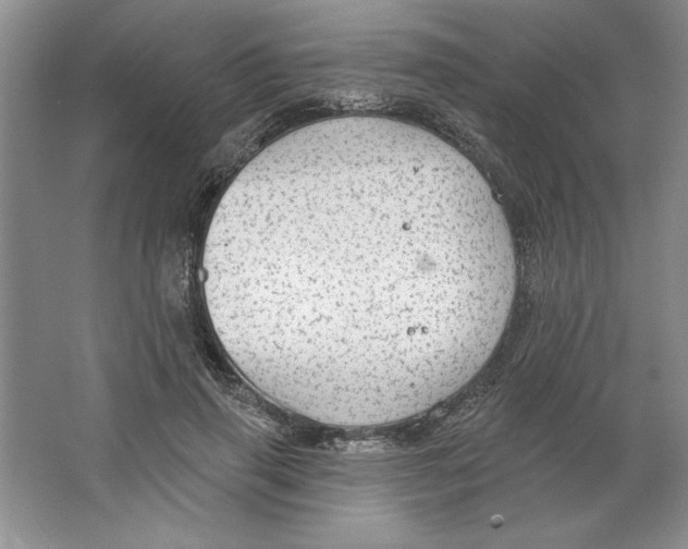 X0000064740645200603031708