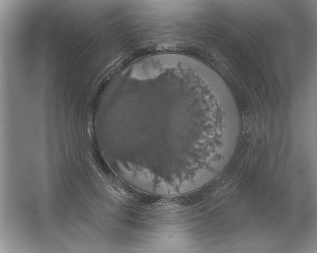 X0000064740648200603031708