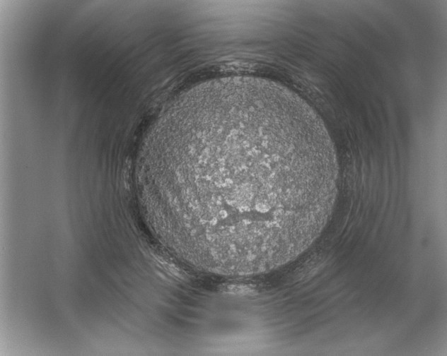 X0000064740649200603031708