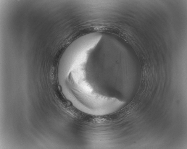 X0000064740650200603031708