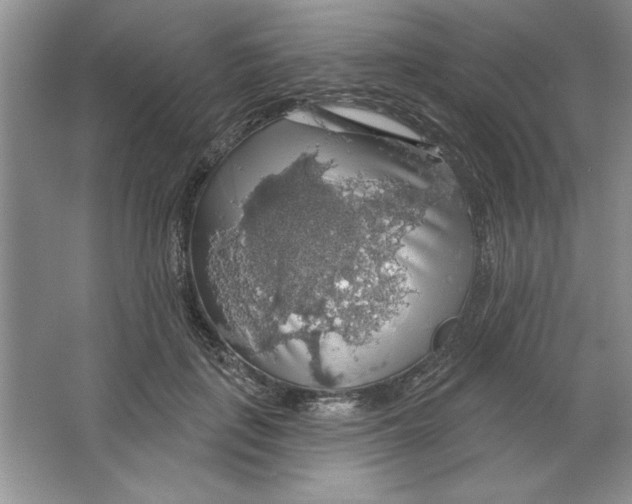 X0000064740651200603031709