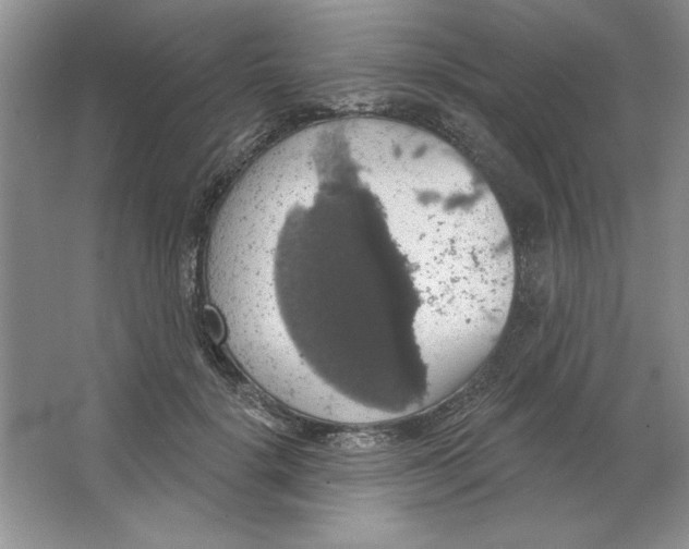 X0000064740652200603031709