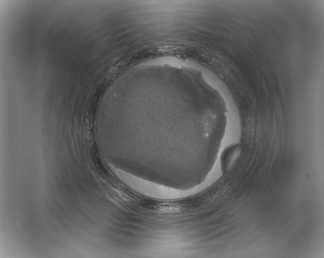 X0000064740653200603031709