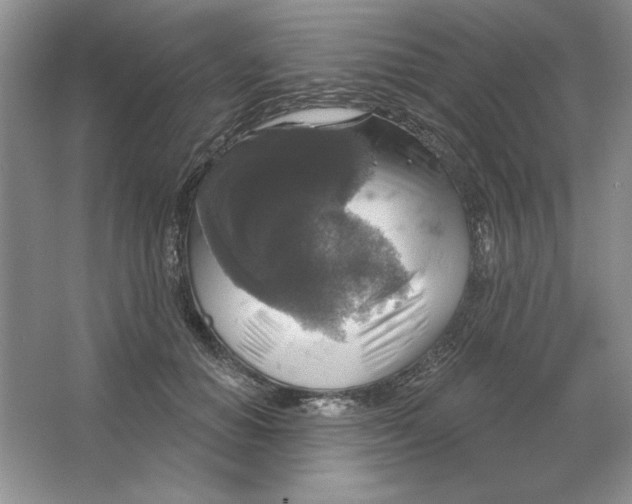 X0000064740654200603031709