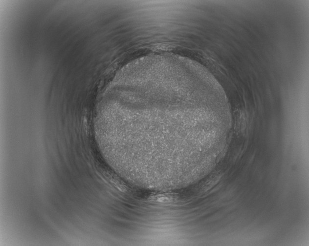 X0000064740655200603031709