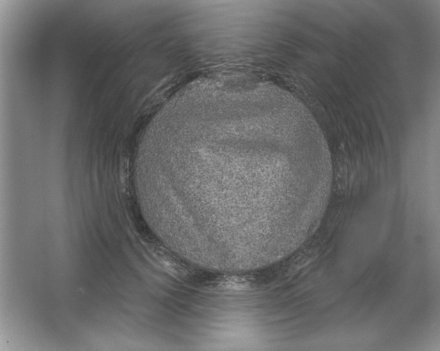 X0000064740656200603031709