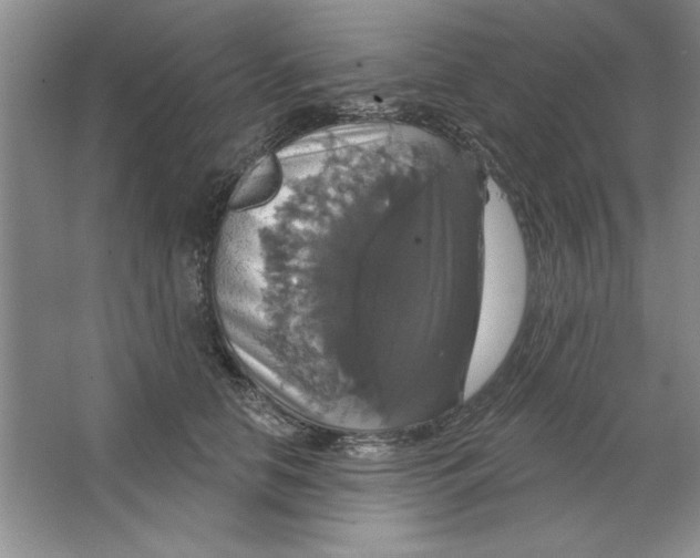 X0000064740658200603031709