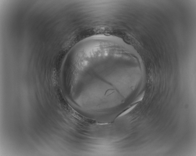 X0000064740659200603031709