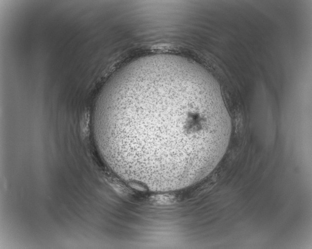 X0000064740660200603031709