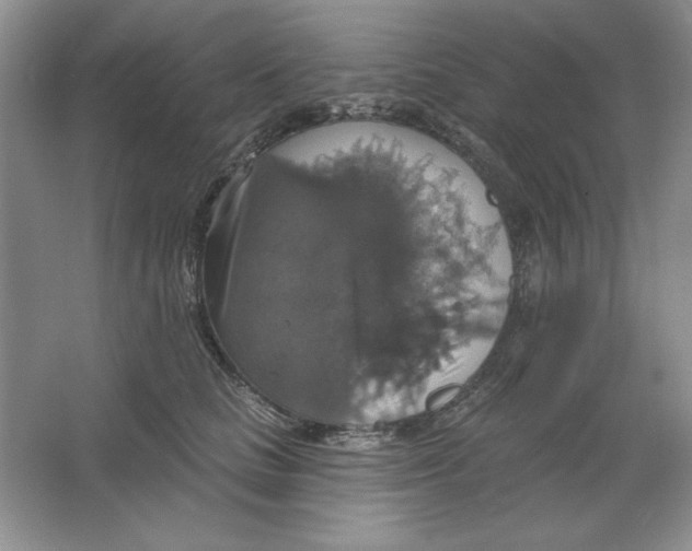 X0000064740661200603031709