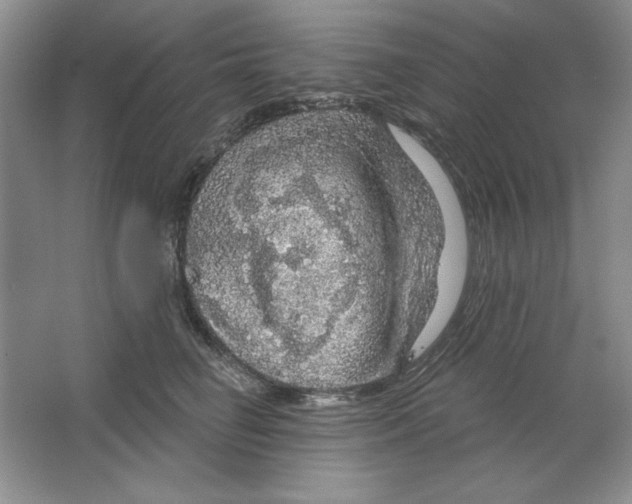 X0000064740662200603031709