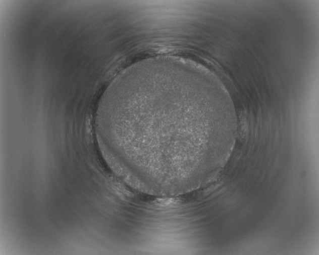 X0000064740667200603031709