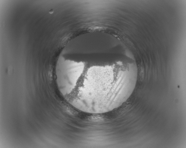 X0000064740668200603031709