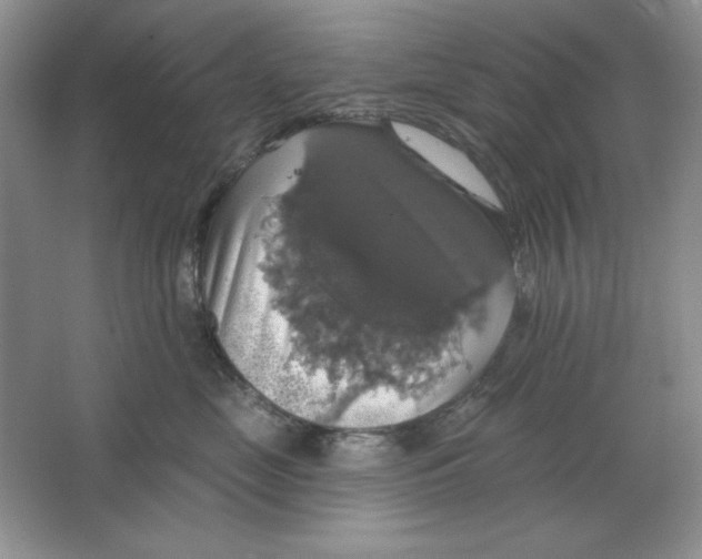 X0000064740669200603031709