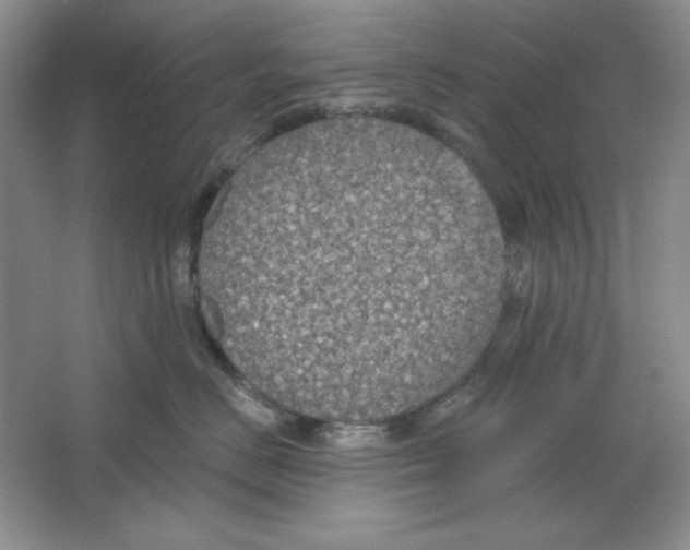 X0000064740670200603031709