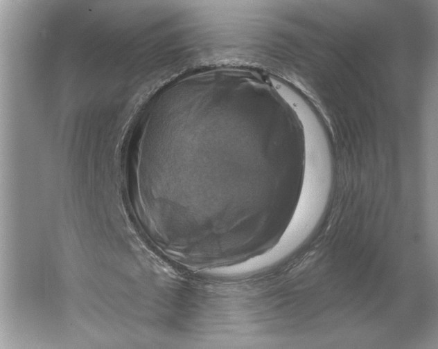 X0000064740673200603031708