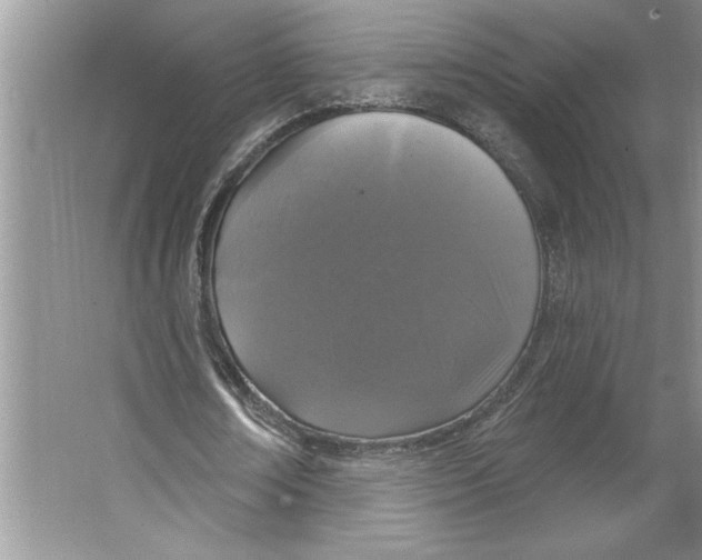 X0000064740674200603031708