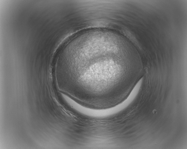 X0000064740676200603031708