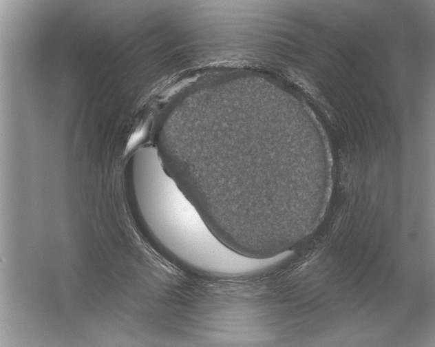 X0000064740681200603031708