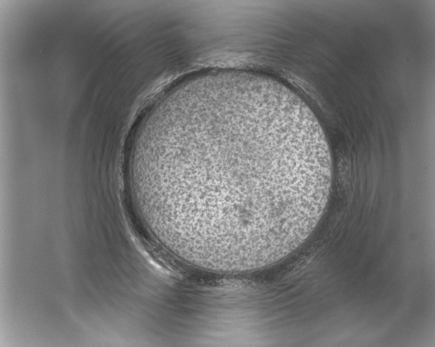 X0000064740682200603031708