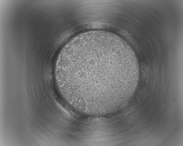 X0000064740683200603031708