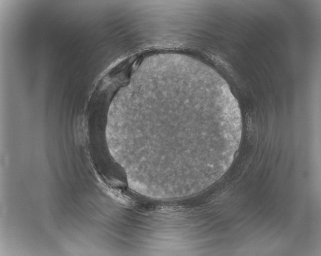 X0000064740684200603031708